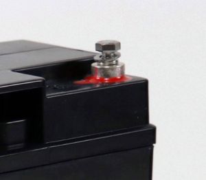 EcoLine - Batteria AGM 12V - 18AH VRLA - 181 x 77 x167 - Batteria Deep Cycle