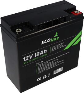 EcoLine - Batteria AGM 12V - 19AH VRLA - 181 x 77 x167 - Batteria Deep Cycle
