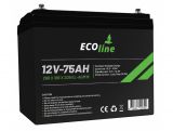 EcoLine - Batteria AGM 12V 75AH - 75000mAh VRLA - 266 x 166 x 209 - Batteria a ciclo profondo